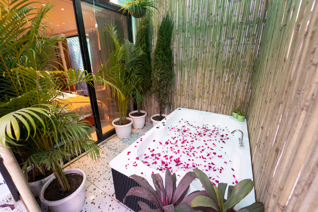 Chhatarpur penthouse