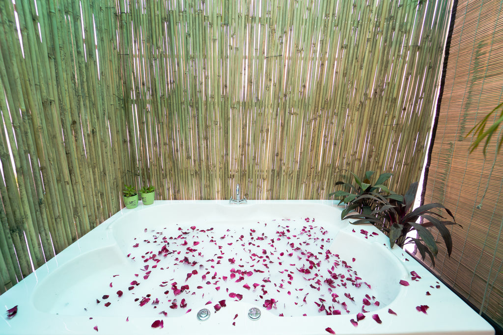 Chhatarpur penthouse