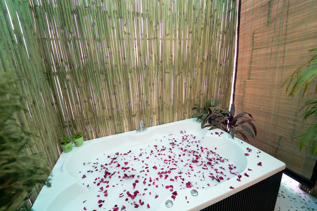 Chhatarpur penthouse